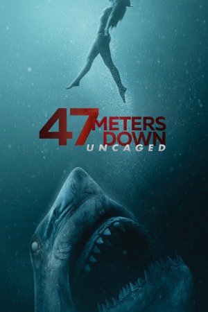 47 Meters Down: Uncaged 2019 BluRay [Hindi + English] 480p, 720p ESub