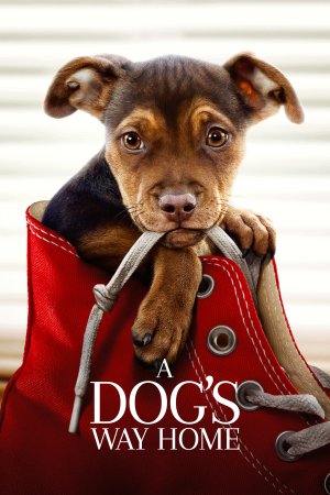 A Dog's Way Home 2019 BluRay [Hindi + Tamil + Telugu + English] 480p, 720p ESub