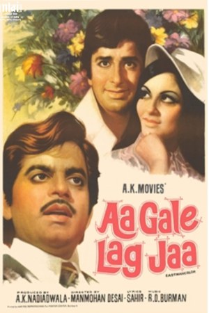 Aa Gale Lag Jaa 1994 WebRip [Hindi] 480p, 720p Poster