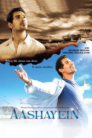 Aashayein 2010 WebRip [Hindi] 480p, 720p ESub