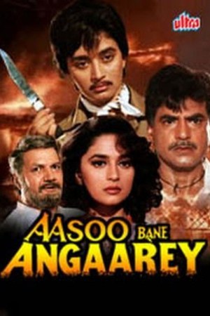 Aasoo Bane Angaarey 1993 WebRip [Hindi] 480p, 720p