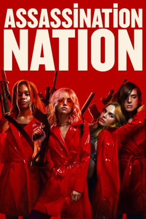 Assassination Nation 2018 BluRay [Hindi + English] 480p, 720p ESub Poster