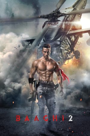 Baaghi 2 2018 WebRip [Hindi] 480p, 720p ESub