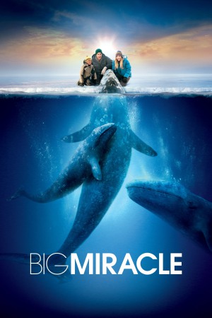 Big Miracle 2012 BluRay [Hindi + English] 480p, 720p ESub