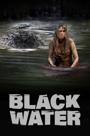 Black Water 2008 BluRay [Hindi + English] 480p, 720p ESub