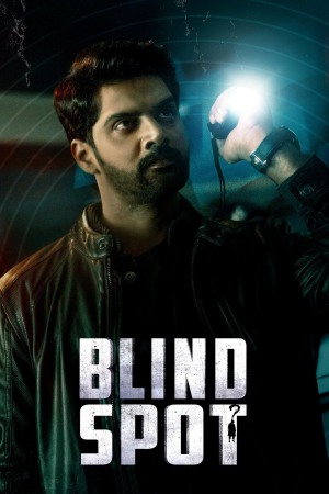 Blind Spot 2025 WebRip [Hindi + Tamil + Telugu + Malayalam + Kannada] 480p 720p 1080p ESub