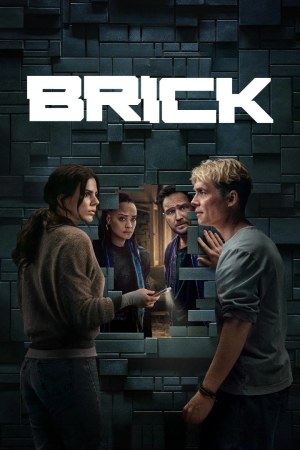 Brick 2025 WebRip [Hindi + Tamil + Telugu + English] 480p 720p ESub