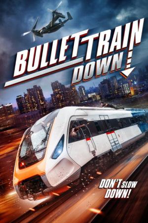 Bullet Train Down 2022 BluRay [Hindi + Tamil + English] 480p 720p ESub