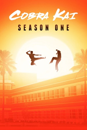 Cobra Kai (2018) Season 1 [Hindi + English] WebRip 480p 720p ESub - Complete