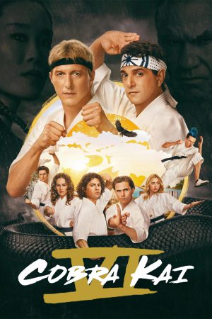 Cobra Kai (2024) Season 6 [Hindi + English] WebRip 480p 720p ESub - Complete