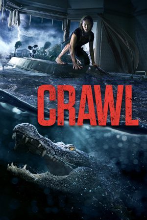 Crawl 2019 BluRay [Hindi + English] 480p, 720p ESub Poster