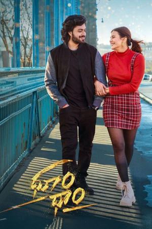 Dhoom Dhaam 2025 WebRip [Hindi + Tamil + Telugu] 480p, 720p, 1080p ESub