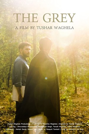 Dhoosarit - The Grey 2020 WebRip [Hindi] 480p, 720p ESub Poster