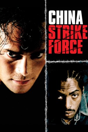 China Strike Force 2000 BluRay [Hindi + Tamil + Telugu + English] 480p 720p ESub