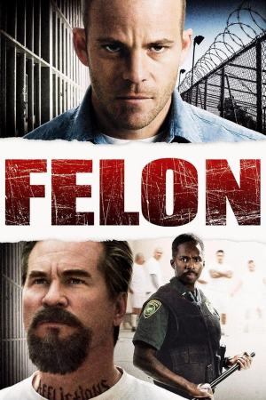 Felon 2008 BluRay [Hindi + English] 480p, 720p ESub Poster
