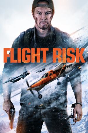 Flight Risk 2025 WebRip [Hindi + Tamil + Telugu + English] 480p 720p ESub