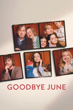 Goodbye June 2025 WebRip [Hindi + Tamil + Telugu + English] 480p 720p ESub