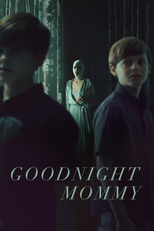 Goodnight Mommy 2022 WebDl [Hindi + English] 480p, 720p ESub Poster
