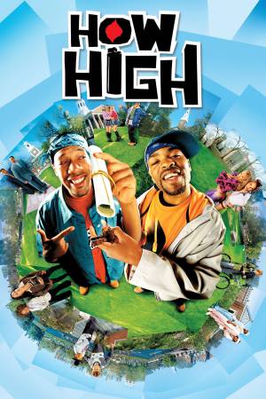 How High 2001 WebDl [Hindi + English] 480p, 720p ESub Poster