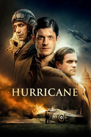 Hurricane 2018 BluRay [Hindi + Tamil + Telugu + Kannada + English] 480p, 720p, 1080p ESub