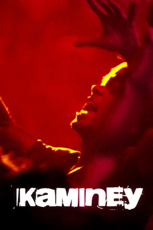 Kaminey 2009 WebRip [Hindi] 480p, 720p