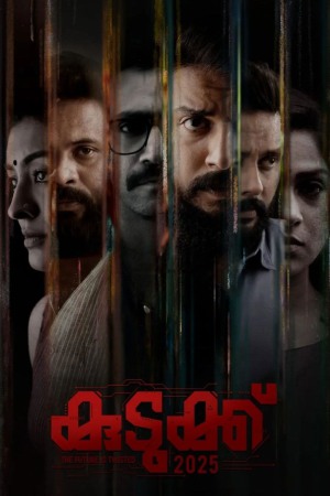 Kudukku 2025 2022 WebRip [Malayalam] 480p, 720p, 1080p ESub