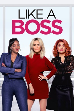Like a Boss 2020 BluRay [Hindi + English] 480p, 720p ESub Poster