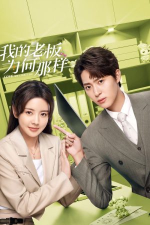 Love Me Like I Do (2023) Season 1 [Hindi + Tamil + Telugu + Chinese] WebRip 480p, 720p ESub - Complete