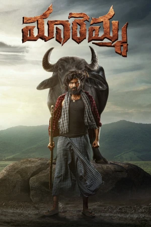 Maremma 2026 WebRip [Hindi + Tamil + Telugu + Malayalam + Kannada] 480p 720p 1080p ESub