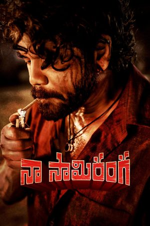Naa Saami Ranga 2024 WebRip [Hindi] 480p, 720p
