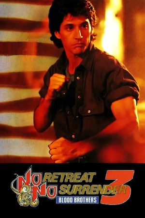 No Retreat, No Surrender 3: Blood Brothers 1990 BluRay [Hindi + English] 480p, 720p