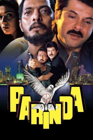 Parinda 1989 WebRip [Hindi] 480p, 720p ESub
