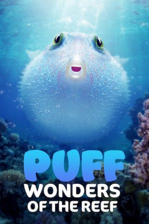 Puff: Wonders of the Reef 2021 WebRip [Hindi + English] 480p, 720p ESub
