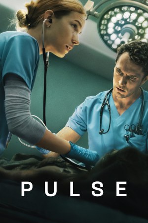 PULSE (2025) Season 1 [Hindi + Tamil + Telugu + English] WebRip 480p, 720p ESub - Complete