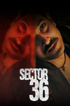 Sector 36 2024 WebRip [Hindi + Tamil + Telugu + English] 480p, 720p, 1080p ESub