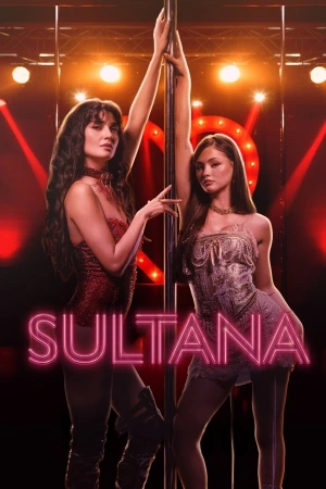 Sultana 2026 WebRip [Hindi + Tamil + Telugu + English] 480p 720p ESub