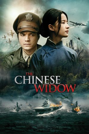 The Chinese Widow 2017 BluRay [Hindi + Chinese] 480p, 720p ESub Poster