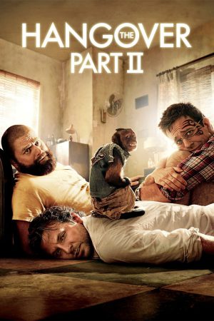 The Hangover Part II 2011 BluRay [Hindi + Tamil + English] 480p, 720p ESub