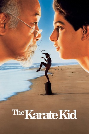 The Karate Kid 1984 BluRay [Hindi + Tamil + Telugu + English] 480p, 720p ESub