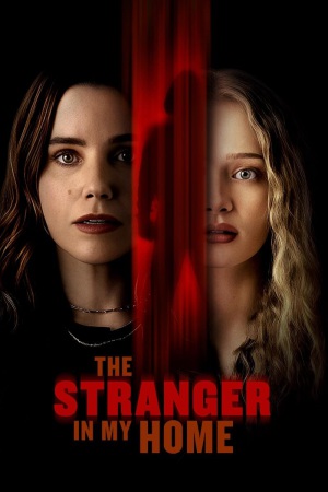 The Stranger in My Home 2025 WebRip [Hindi + English] 480p 720p ESub