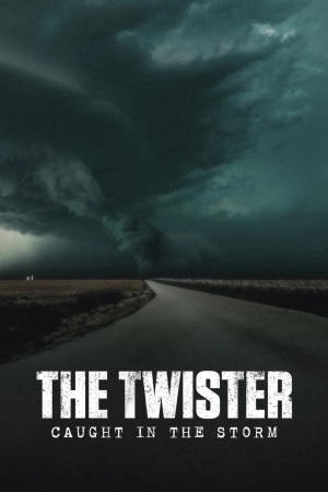The Twister: Caught in the Storm 2025 WebRip [Hindi + English] 480p, 720p ESub