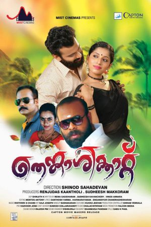 Thenkasikkatu 2019 WebRip [Tamil] 480p, 720p
