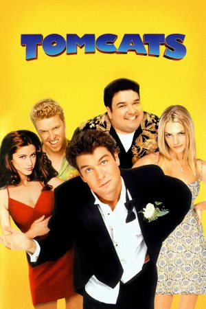 Tomcats 2001 BluRay [Hindi + English] 480p, 720p ESub Poster