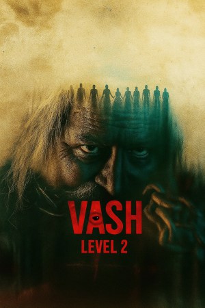 Vash Level 2 2025 WebRip [Hindi] 480p 720p ESub