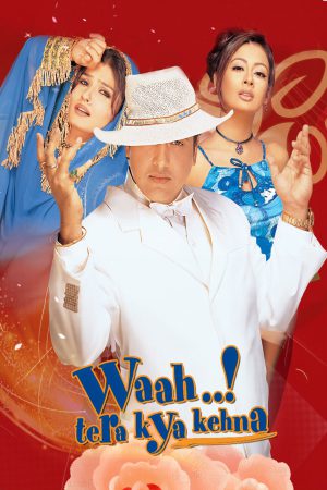 Waah! Tera Kya Kehna 2002 WebRip [Hindi] 480p, 720p