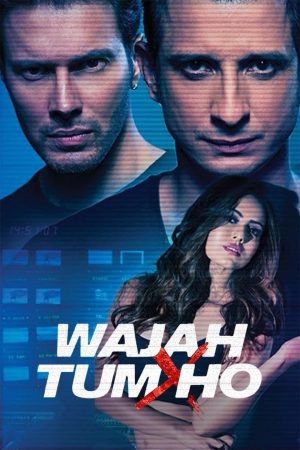 Wajah Tum Ho 2016 WebRip [Hindi] 480p, 720p