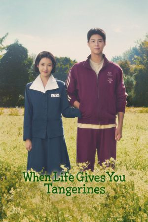 When Life Gives You Tangerines (2025) Season 1 [Hindi + Tamil + Telugu + English] WebRip 480p 720p ESub - Complete