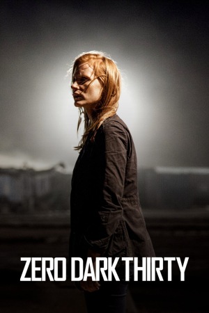 Zero Dark Thirty 2012 BluRay [Hindi + English] 480p, 720p